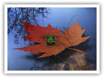 Autumn's Song