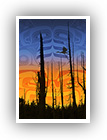 Nimpkish Sunset